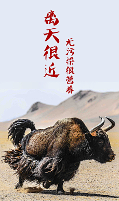丸子的蜡笔采集到包装