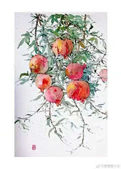 快过年了
平平安安，柿柿如意，多子多福
满满的祝福送给大家 ​ 作者： 夏夏夏水彩 ​ ​​​​