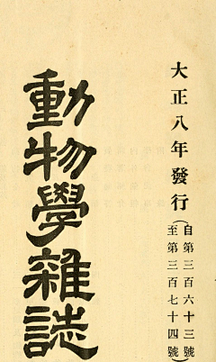 wssakura采集到字