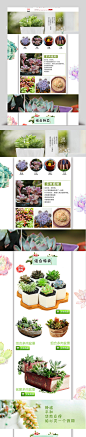 清新简约时尚手绘多肉植物盆栽淘宝首页模板