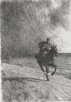 com采集果果一在行动采集到世界名画【 丢勒《大块