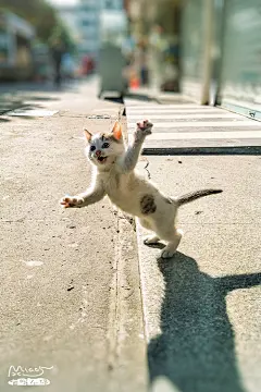 HI，各位早上好~~~