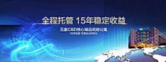 海报 广告展板 房地产 公寓 财富 价值点 户外宣传 城市