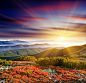 风景图 底纹背景 森林 沙漠 白云 背景花边 草地 设计素材 阳光 风景图 风景图图片 风景图图片素材下载 高清大图 鲜花 高清背景 背景 设计图片 免费下载 页面网页 平面电商 创意素材