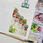 水彩绘画！
ins：monali3832 ​​​​
