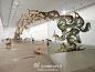 #DINZ展览#蔡国强代表作【Head On 2006】丨“撞墙”中的99隻狼集体将自己投掷到空中，义无反顾撞向一面透明玻璃墙，再滚落地面折返。对蔡国强而言，狼代表凶猛和勇气，而牠们的力量来自群体的团结精神。但是当集体力量错用于盲目追随意识形态时，随之而来的便是接踵而至的灾难。@設计语汇 