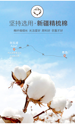 奥特曼大Q采集到儿童产品