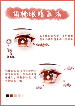 零基础绘画｜原神胡桃眼睛绘画教程