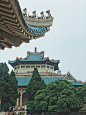 武汉大学

建造于1931年的老斋舍必须有名字

既有罗马券拱门

又有歇山式亭楼

花岗岩➕琉璃瓦

意想不到的魔幻混搭