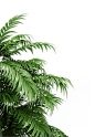 598a8df0d012ccda9423d7e42e3d2420171c12d67aa5b-xwFRT9