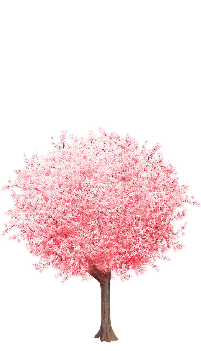 粉红色的树png免扣素材 - www.d...