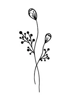 图源免费EPS |手绘涂鸦风格的带花树枝。白色背景上的带花树枝。矢量插图。花朵可用于明信片、贴纸、海报