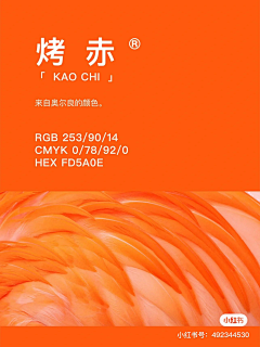 街角的风铃41采集到详情-配色