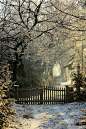 Frosty Morning, The Netherlands