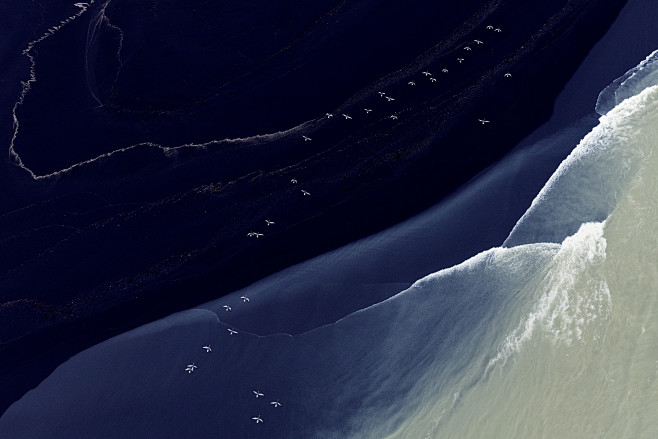 Zack Seckler | Fine ...