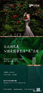 房地产广告精选——十一月篇（多图预警，土豪随意） : 点击关注上方蓝色小字：韦观地产广告公众号！！持续分享好的作品、各位小伙伴积极投稿分享好的作品！！