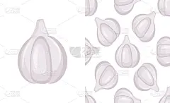 矢量无缝模式新鲜大蒜鳞茎和蒜瓣。用于纺织、织物、包装纸、墙纸等辛辣食品的手绘设计。矢量图