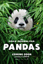 Pandas Movie Poster