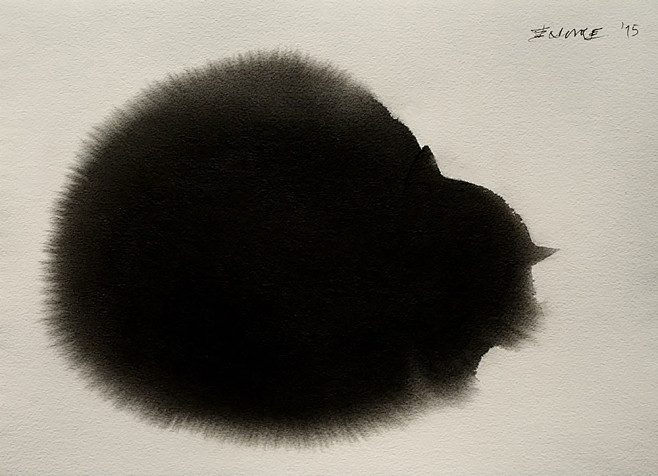 black   cat。。