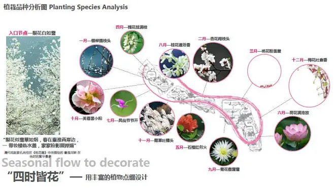 植物配置分析图-花瓣网