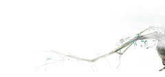 保持无感°采集到B_J 古风装饰