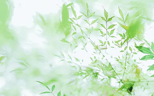 搜狗图片搜索 - 小清新电脑壁纸-花瓣网