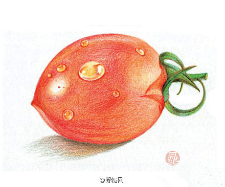 清新彩铅画——逼真如照片，满满的都是爱。...