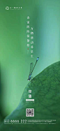 【知识星球：地产重案】24节气 惊蛰