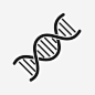 dna研究科学图标_88ICON https://88icon.com dna 研究 科学 学校 学习 螺旋 基因组 遗传学 基因 dna螺旋 主题