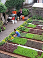 35个令人惊叹的蔬菜后院，用于花园创意（31）