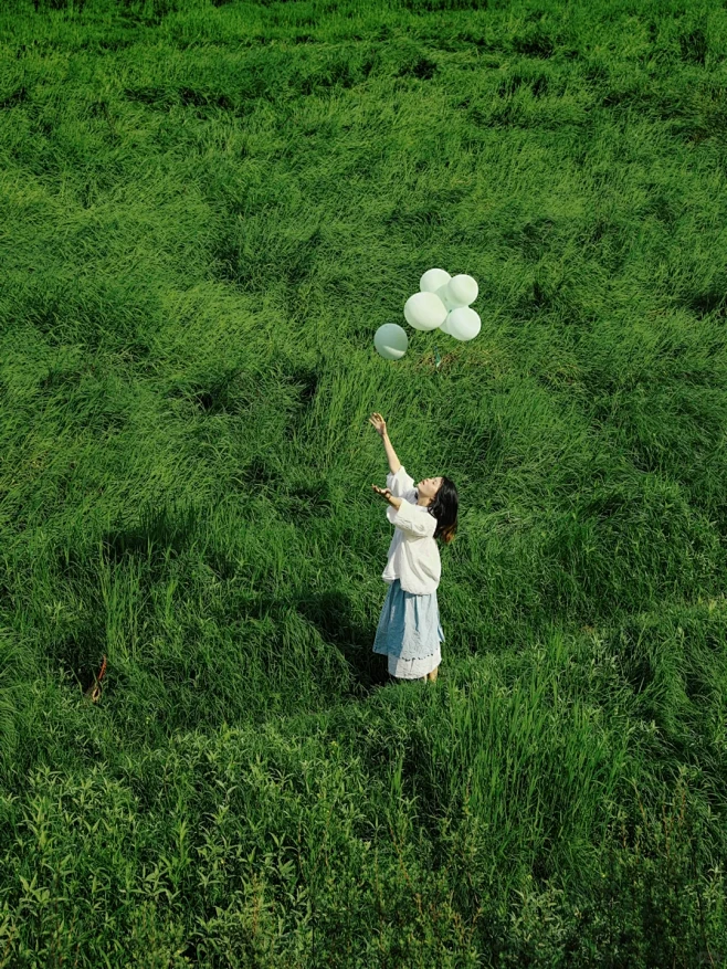 重庆野生大草海｜在江边大草原奔跑太治愈了...