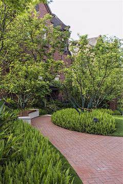 ZITINO采集到architectural green wall