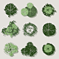 日系古风植物平面图素材PSD