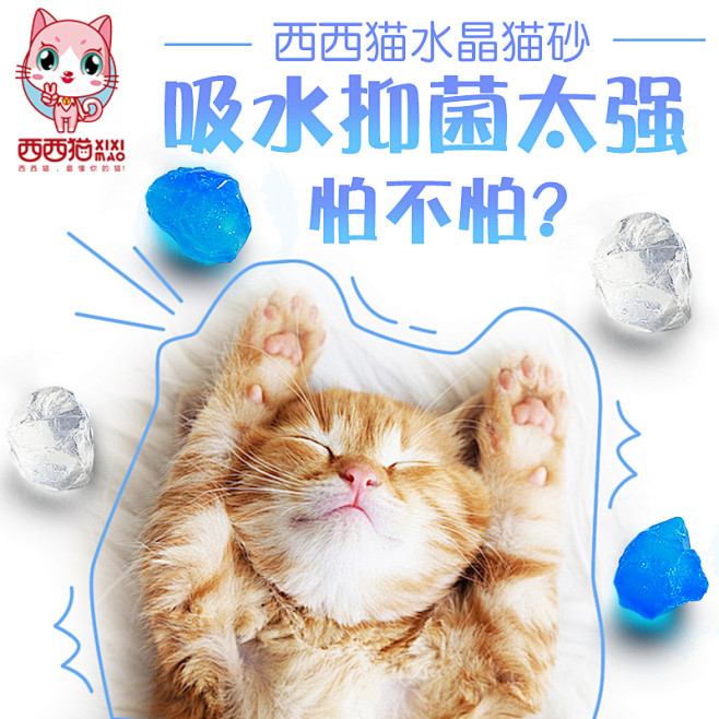 西西猫水晶猫砂包邮水晶猫砂 大颗粒 包邮...