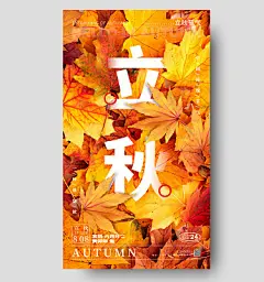 橘色简约风格立秋立秋节气宣传海报立秋节气手机宣传海报