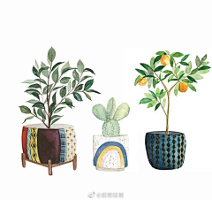 ﹏安静的胖子;采集到叶子/植物影子