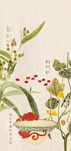 琯朗壁纸｜今日上新：活色生香红豆薏仁水
分别出自：本草图谱以及历代名瓷图谱
养生系本草壁纸。
这个斗笠杯啊，非常好看。乍看以为红色是只蝙蝠，于是想说那就叫福气满满红豆薏仁水好了，然鹅，仔细看了后面的文字，人家不是蝙蝠，是螭龙～～更为华贵了就是说。
且“海内存者仅一二而已”，虽然这种斗笠杯通常都用来喝茶，但是红豆薏仁水放进去大概也是活色生香。
明宣窑积红斗笠杯｜杯制不知何仿而高低大小如图，沏色白如羊脂，积红之色赤如猩血，而螭龙之象蜿蜒如生，而杯之周身细描云气飘渺，如秋空濛灏气中良可宝也。此杯海内存者仅一二而