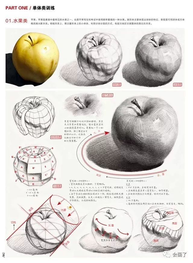 临摹宝3Ⅲ素描静物2018敲门砖李家友单...