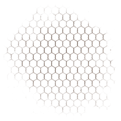 colinzoe采集到植物