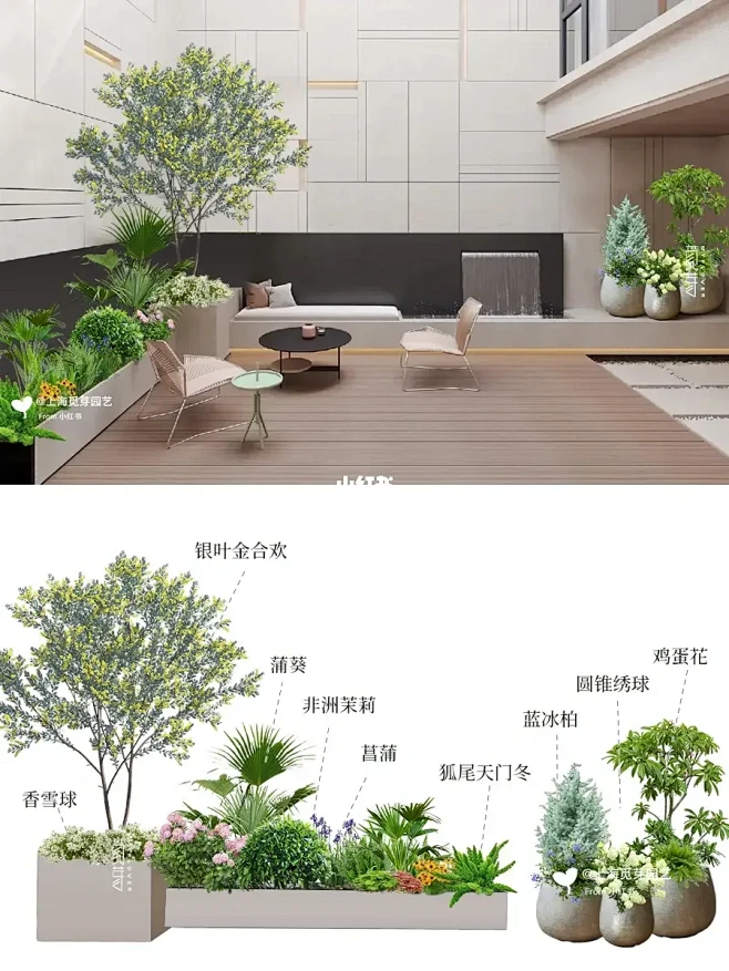 2组庭院花坛植物设计｜附植物清单