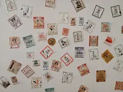 普洱茶内飞 - 小红书