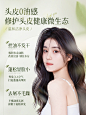副主图2
