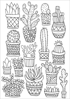 吃土的包子采集到插画