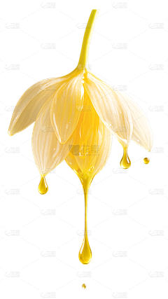 一只火烈鸟呀采集到素材