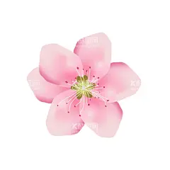 桃花梅花花瓣素材  - 源文件下载【酷图网】花瓣底纹,卡通花朵,矢量花朵,花朵花瓣,桃花,樱花,梅花,桃花瓣,梅花瓣,桃花花瓣,梨花花瓣,矢量花瓣,矢量卡通花瓣,粉色花瓣,粉色花朵,红色花瓣,红色花朵,花瓣素材,花瓣元素,花瓣背景,花朵,花朵素材,花朵元素,花朵背景,手绘花瓣,樱花瓣,樱花花瓣,玫瑰花,玫瑰花花瓣,玫瑰花瓣,花瓣剪影,婚礼花瓣