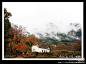 黄山:再赴徽州－－－塔川, 怜灯旅游攻略