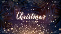 热带气候,夏天,绘画插图,矢量,海滩,庆祝,发光,日落,闪亮