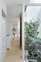 Green Edge House 建筑设计欣赏 白色 现代设计 极简主义 建筑设计 家装设计 室内设计