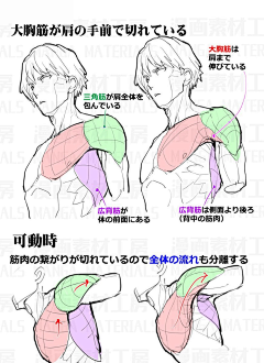 西瓜3rd采集到动态