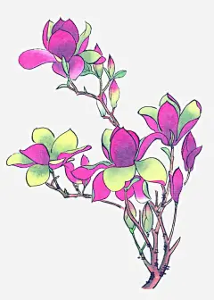 装饰植物手绘免抠素材_新图网 https://ixintu.com 国画花卉 手绘花草 手绘国画 彩墨国画花草 国画写生小品 宣纸花